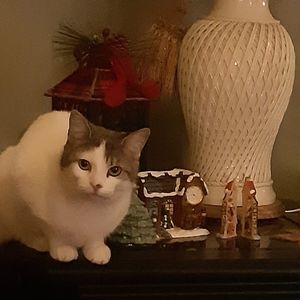 Meet your Posher, Laura